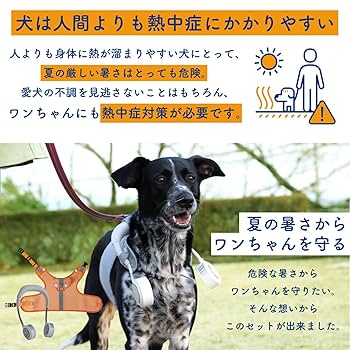 シロ犬工房(20個セット) 楽天市場】☆ポイント5倍☆【AR対応商品】犬 サークル 屋根付き